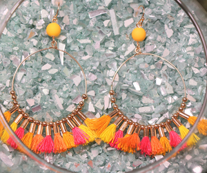 Multi-Colored Tassel Earrings